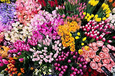 任天堂领跑日本软件销量榜20年 去年销量榜霸占前十